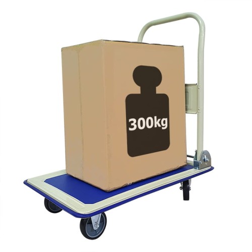 transportowy-300kg-700.jpg